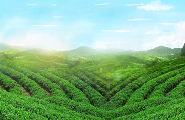 1675653504123811.jpg 1511593857.jpg